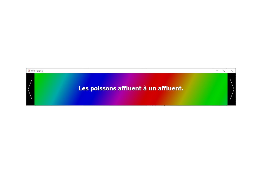 Aperçu Homographes