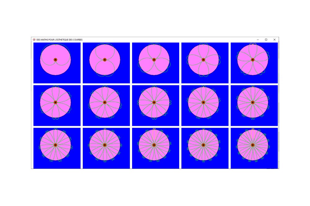 Aperçu Des maths pour de jolies fleurs