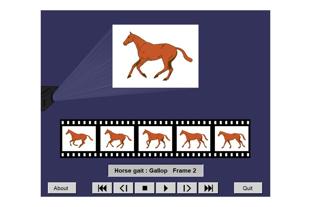 Aperçu Graphise - animation