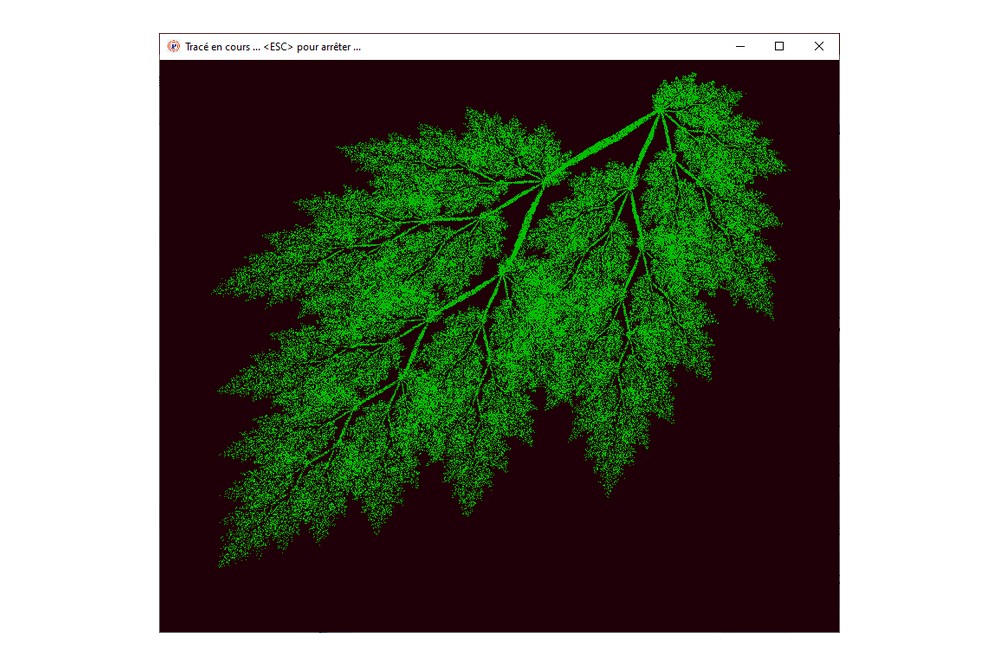 Aperçu Graphisme : IFS Nice Leaves