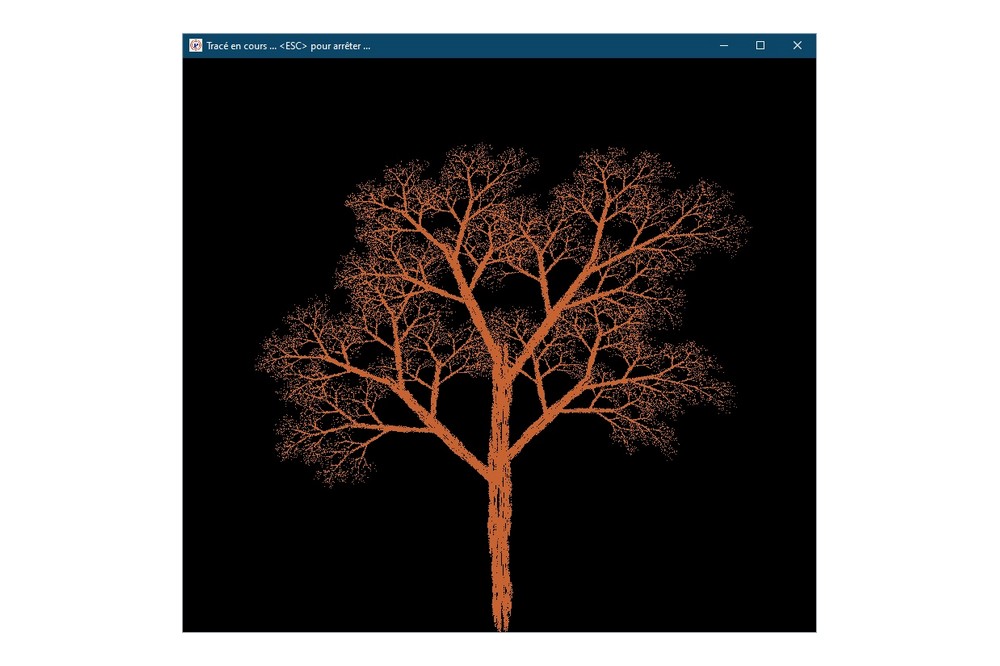 Aperçu Graphisme : Young Tree
